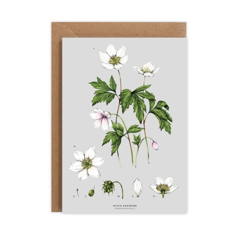 Floral Blank Cards