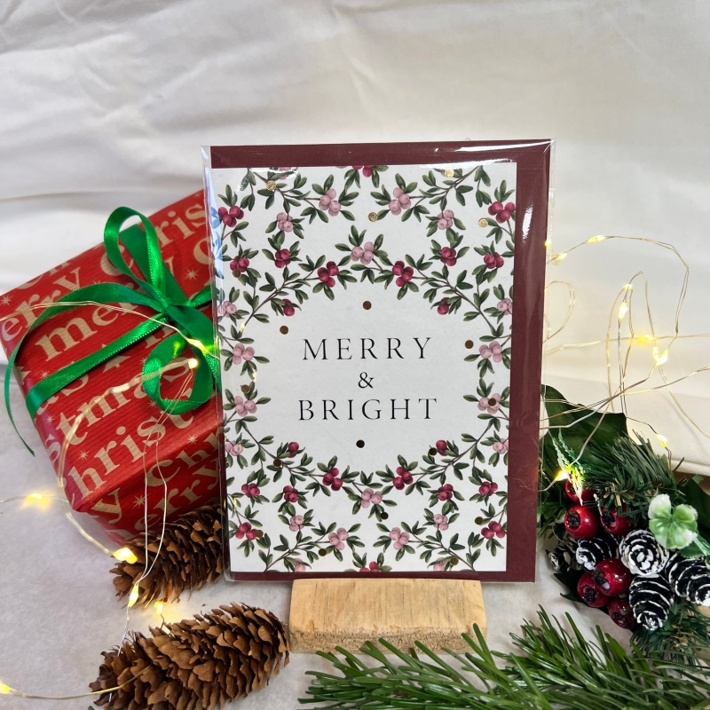 Festive Cards
