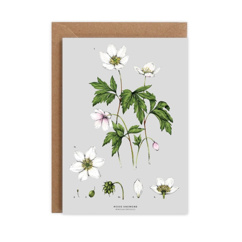 Floral Blank Cards