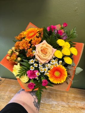 Autumn Baby Blume